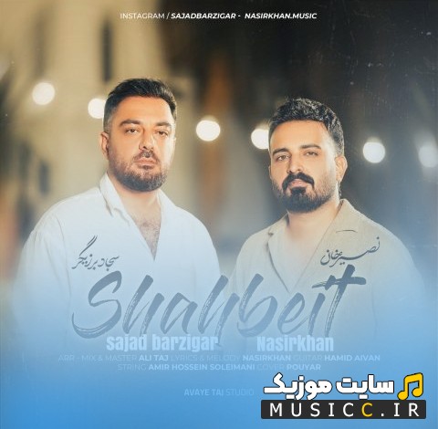 اهنگ جدید سجاد برزیگر با نام شاه بیت {Sajad Barzigar} | با دو کیفیت عالی